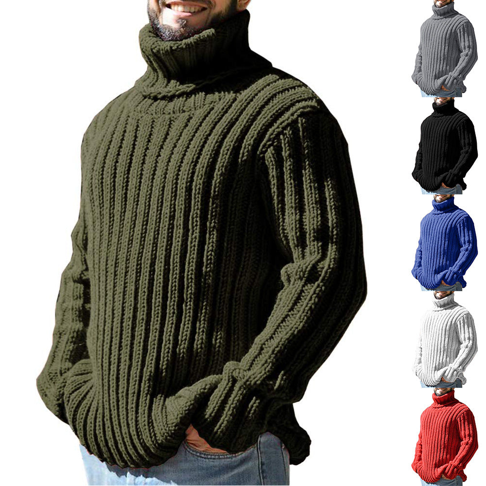 Turtleneck Solid Color Slim Fit Knit Sweater